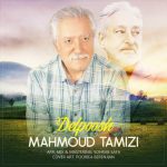 دانلود آهنگ جدید محمود تمیزی به نام دلپوش